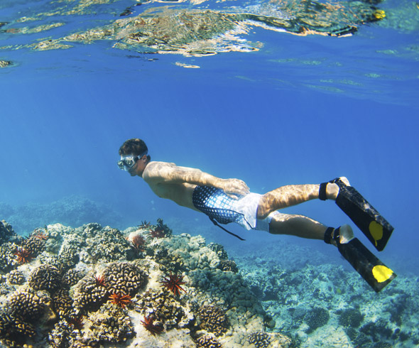 snorkel-y-buceo