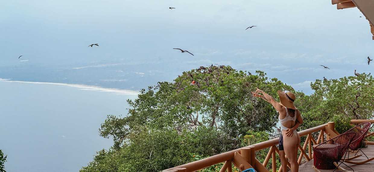 Avistamiento de aves en Cartagena: las fragatas de Pao Pao