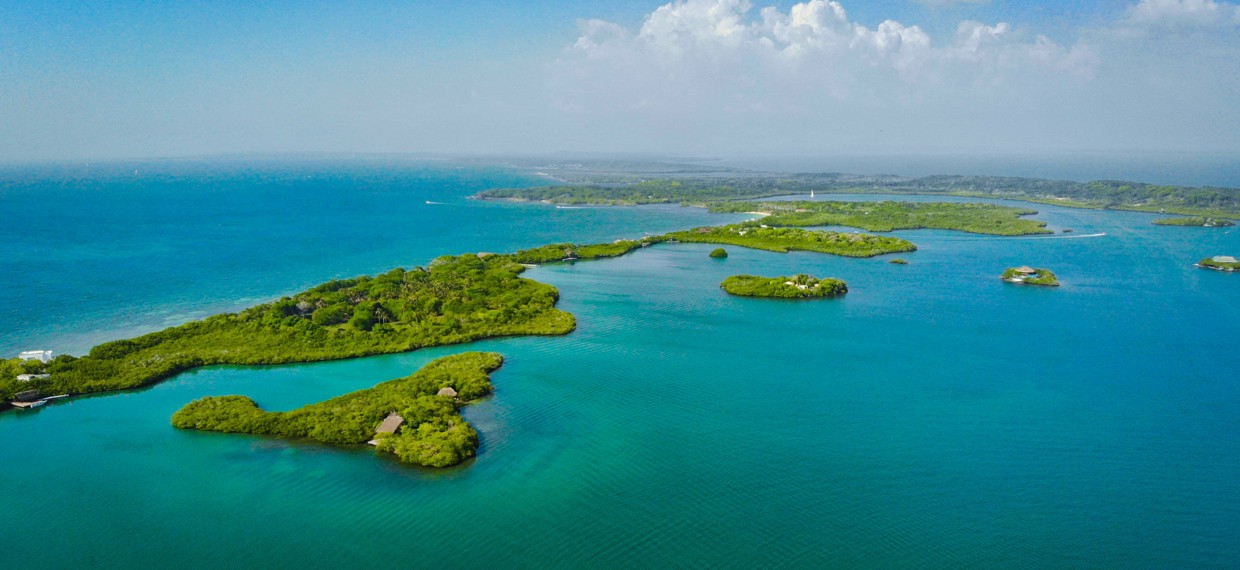 Los mejores tours y actividades en Islas del Rosario Cartagena