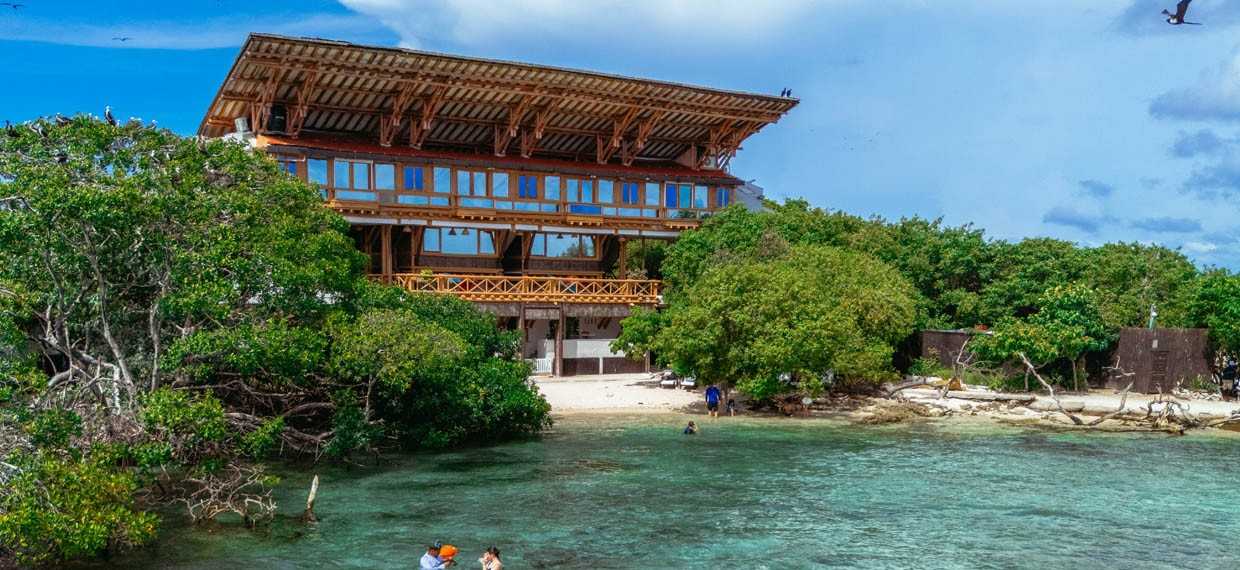 Hospedarse en Pao Pao: bienestar, naturaleza y experiencias únicas en las Islas del Rosario