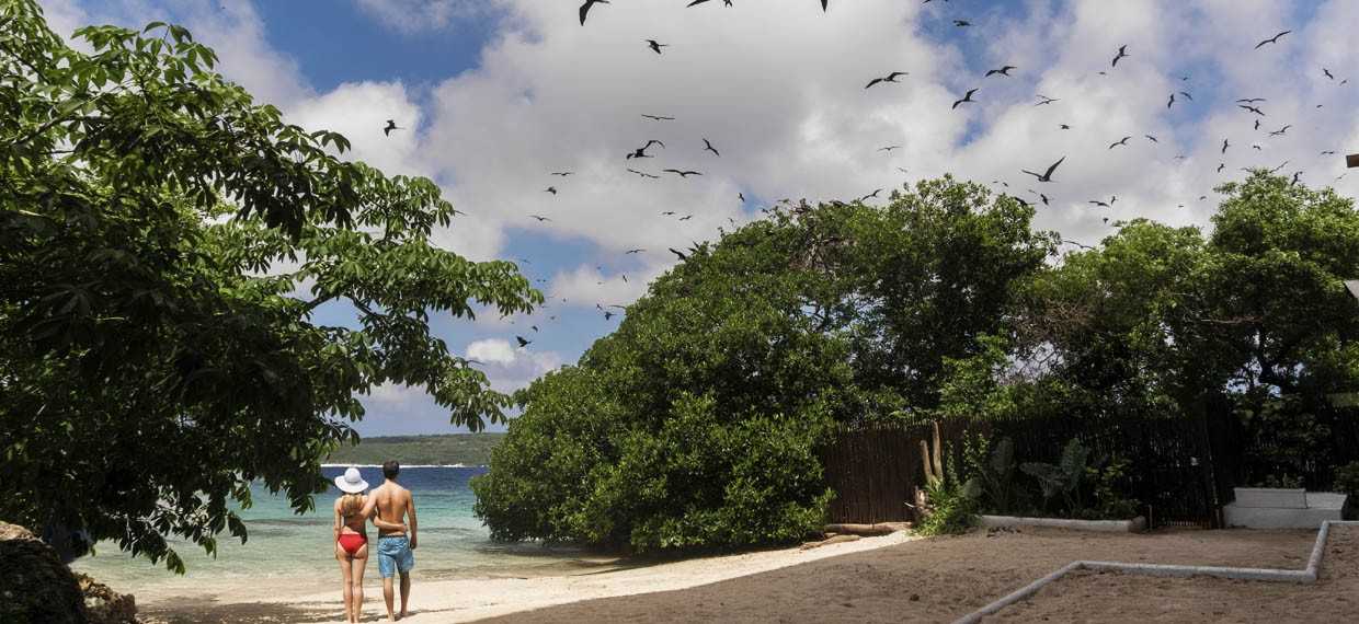 Qué hacer en Cartagena: visita Pao Pao, una isla paradisiaca de aves en el archipielago de Islas del Rosario